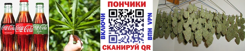 Canna-Cookies конопля Яхрома