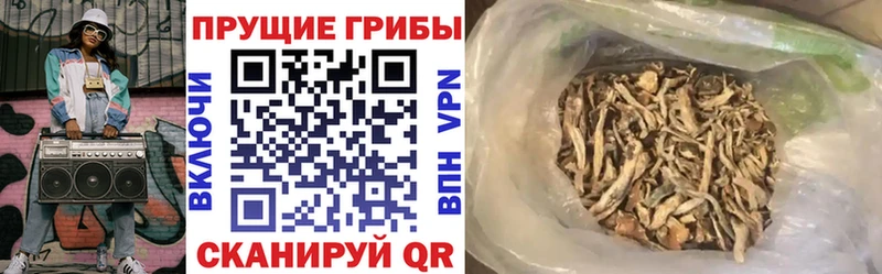 Псилоцибиновые грибы ЛСД  Яхрома 